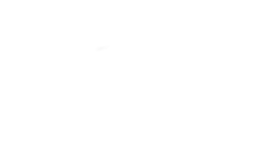 logo_OKO_bialy